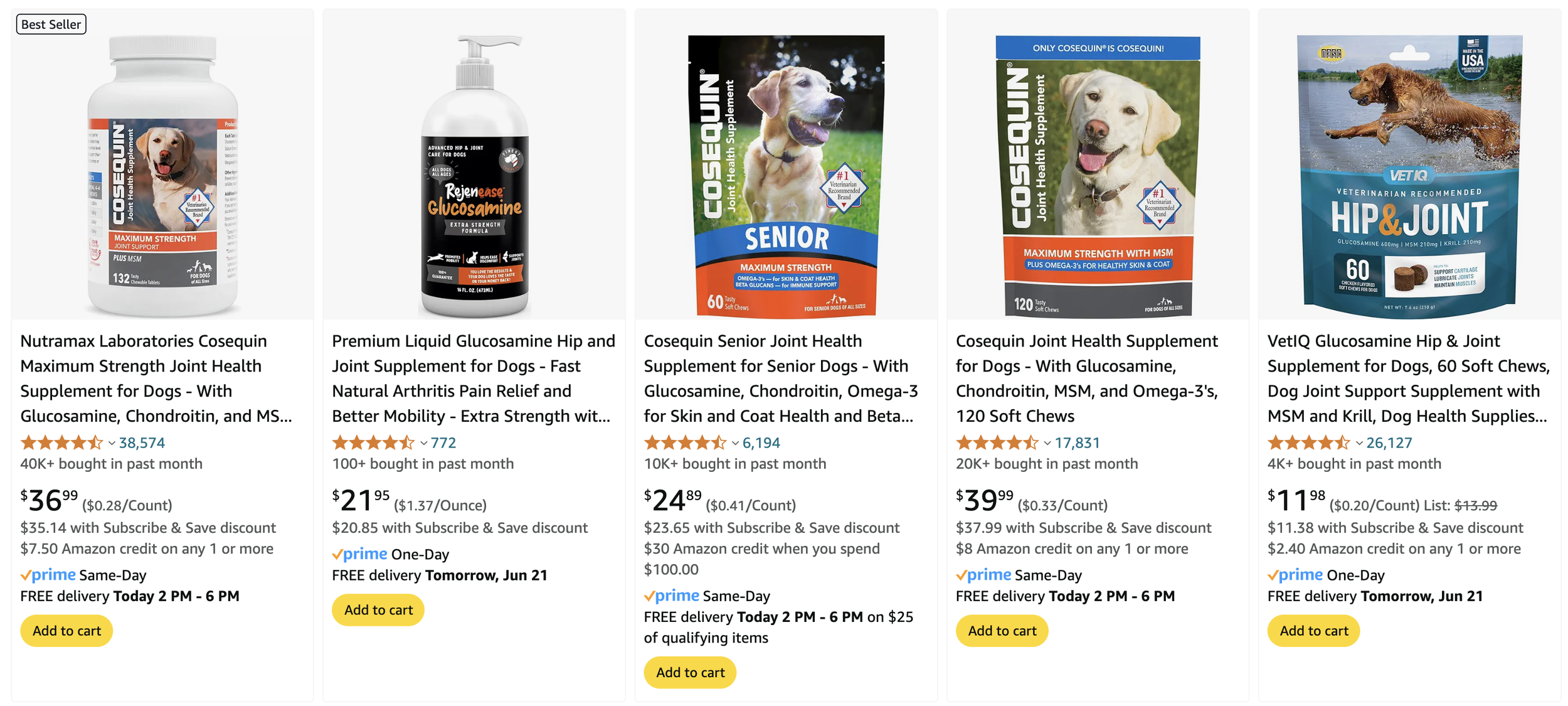 The Pros and Cons of Joint Supplements for Dogs with Arthritis
